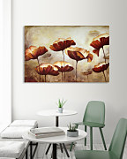 Obraz Velvet poppies zs1035